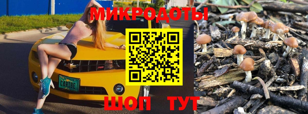 ГЕРОИН Владикавказ